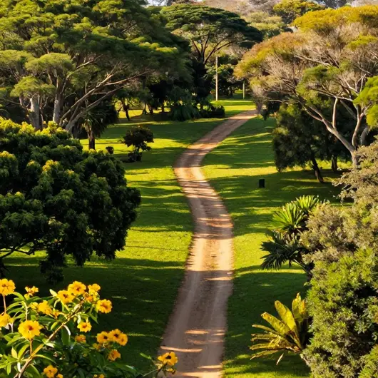 Descubra o Parque Trilhas do Cerrado