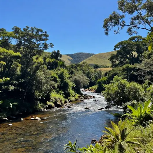Descubra o Rio Uberabinha Descubra o Rio Uberabinha