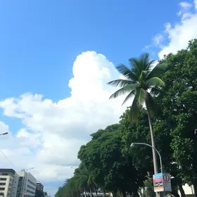 previsão do tempo em Uberlândia